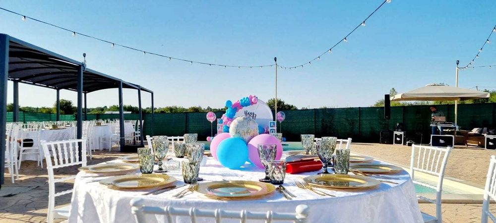 Vila Petreceri Petrecere | FARA VECINI |