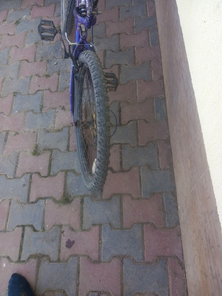 Bicicletă de vânzare