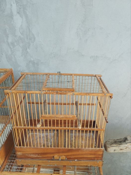 Qafasla sotiladi srochnaga