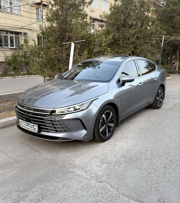 BYD Chazor Full 120 km 2023/24