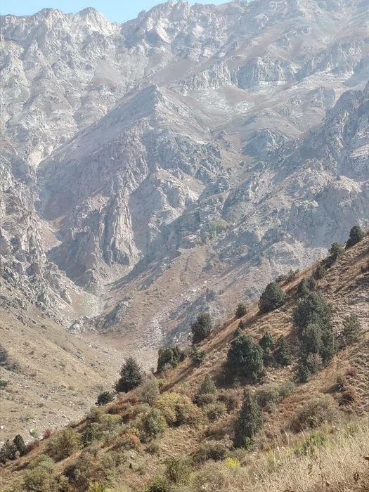 Автокран хизмати