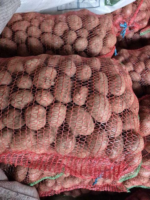 Vânzare cartofi din producție proprie