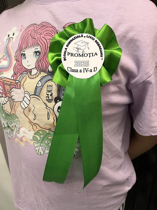 Panglici/ cocarde clasa a 4 a si a 8 a