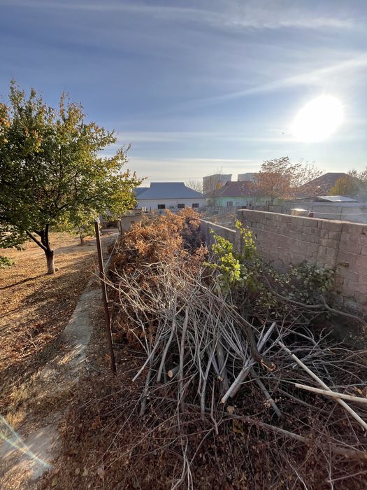 Отын. Дрова. Алып кеткен адамға 20 000 тг береміз.