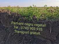 De vanzare pamant negru gradina, mranita , incarcari moloz , diverse !