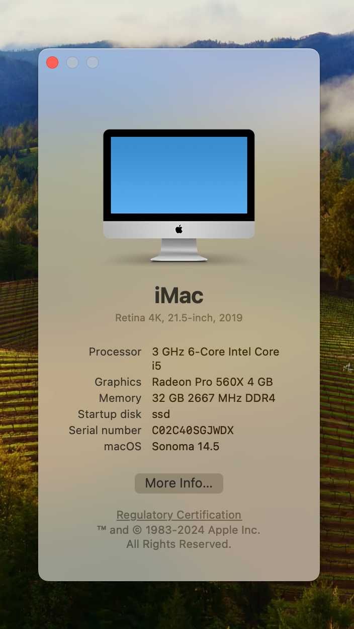 iMac 2019, 32Gb RAM, 1Tb SSD + 1TB HDD