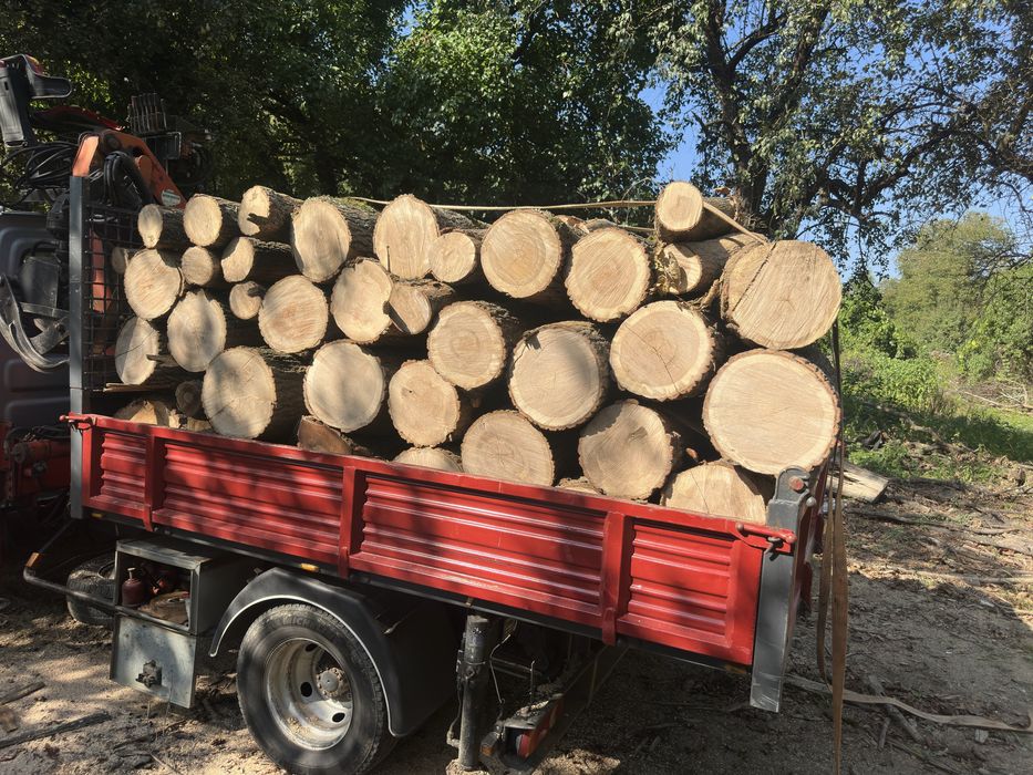 Lemn de foc esenta tare