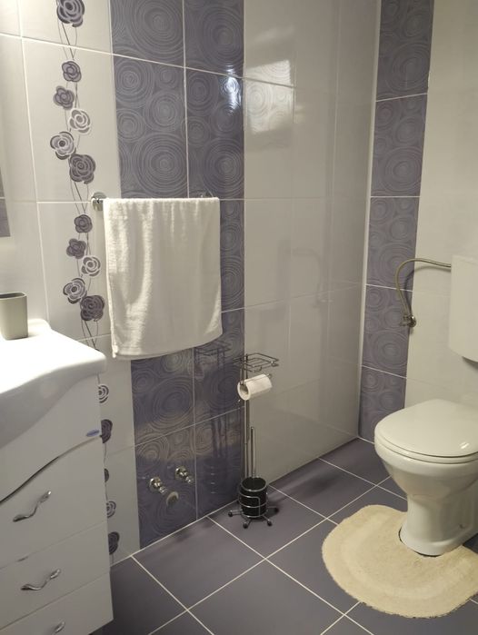 Pensiune,regim hotelier,Casa Darius