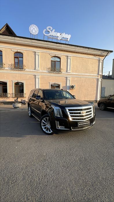 Аренда авто с водителем трансфер/проводы и торжественные праздники