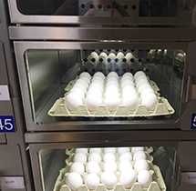 Automat Tonomat Vendomat vanzare oua