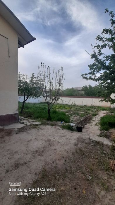 Tez kunda xovli sotuladi