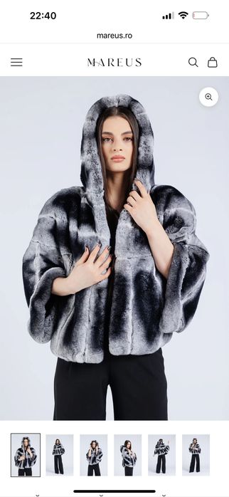 Blana chinchila rex noua