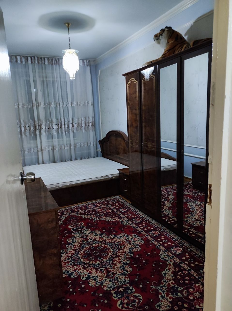 Аренда 2в3/3/4 300 $  чил 19
