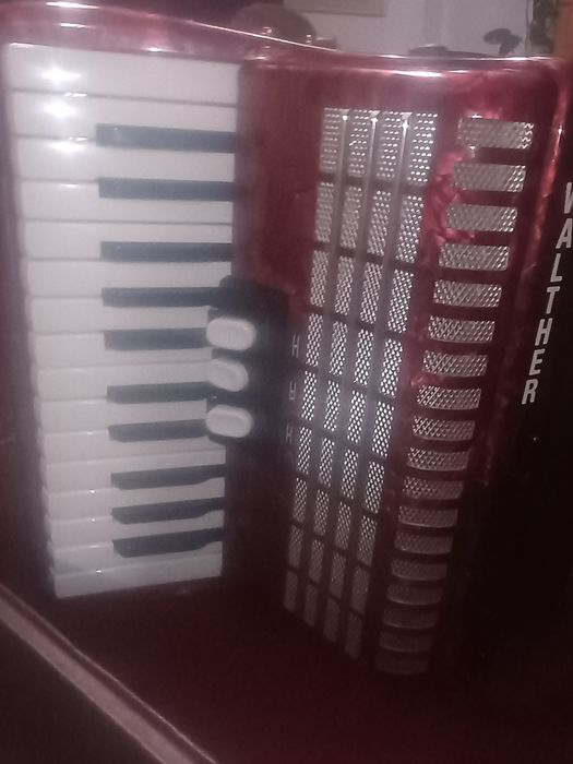 De vânzare Walther Teeny 48 basi