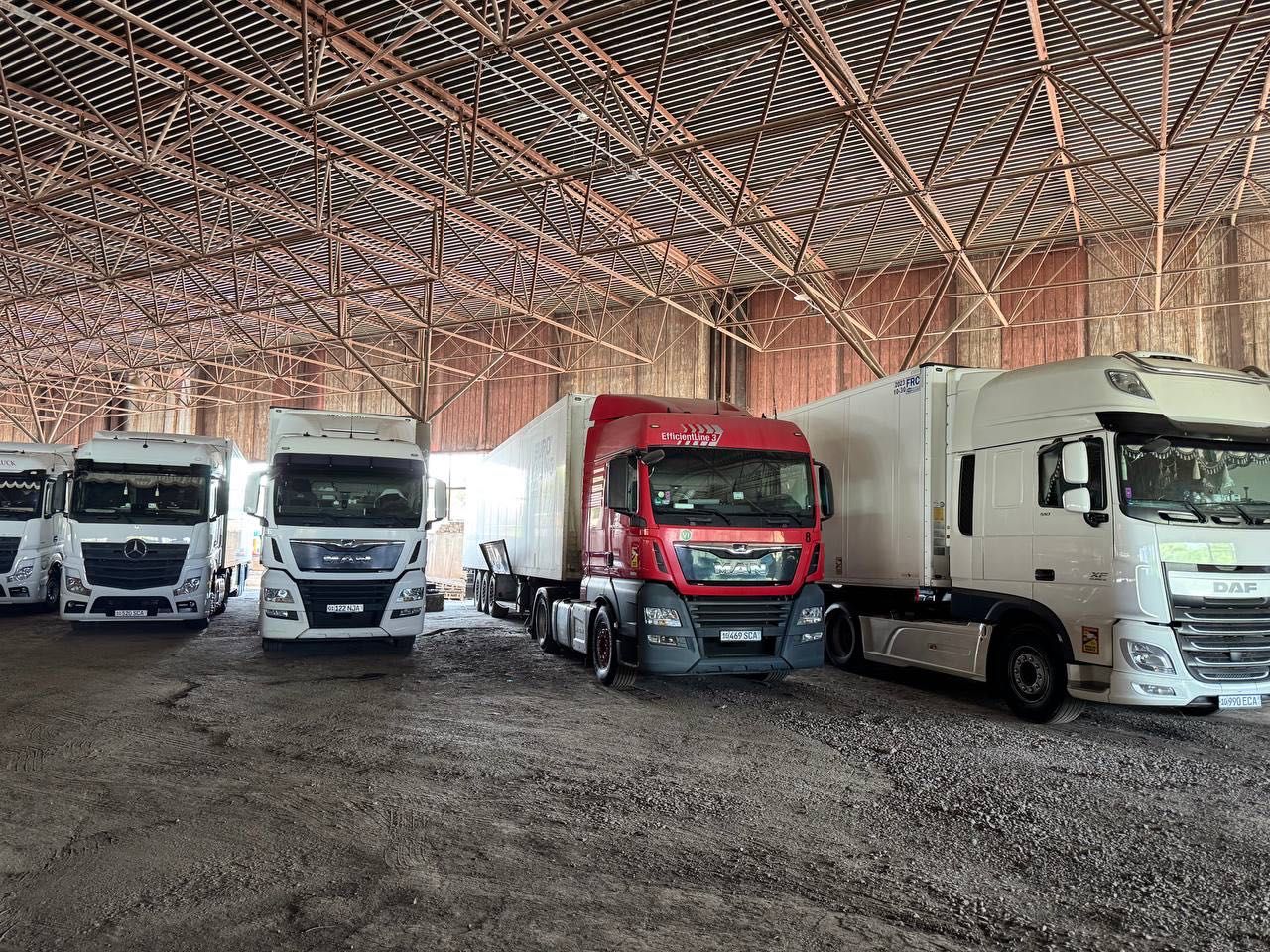 Daf 510 Schmits 2017