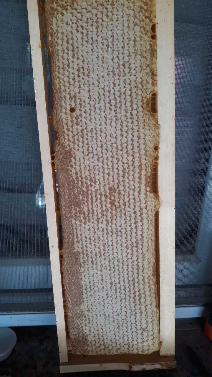 Vand pastura proaspata , polen, propolis