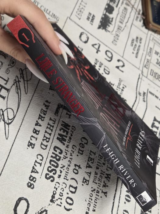 Cartea “Little Stranger” de Leigh Rivers