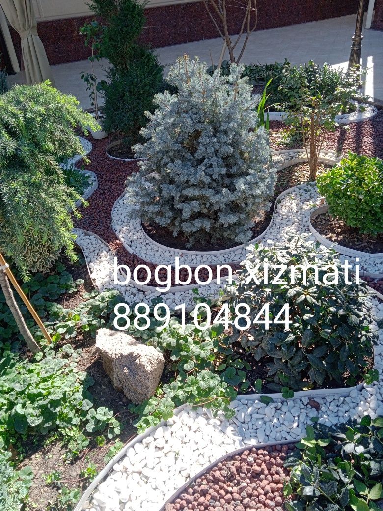 Sadovnik bogbon xizmati