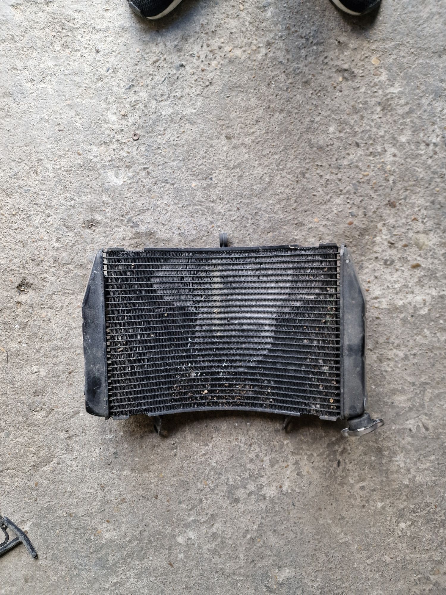 Radiator Yamaha r1 RN12 2006