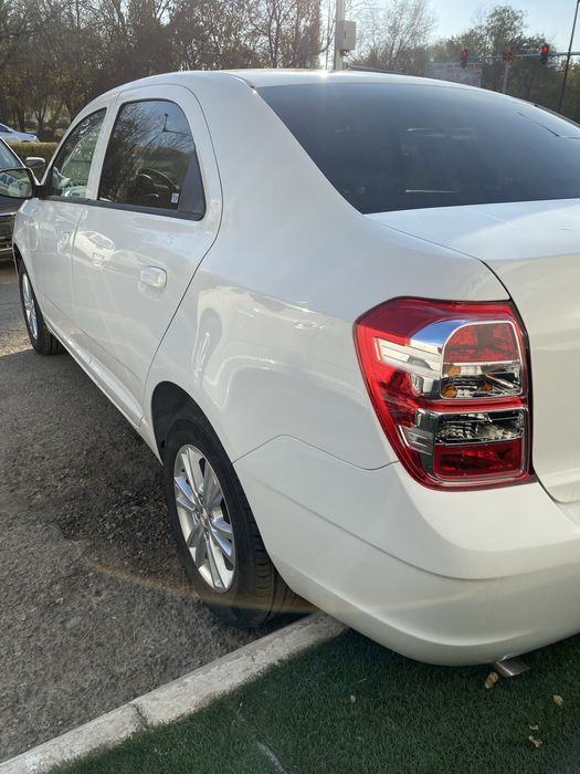 Cobalt 2025 Ноябрь Style