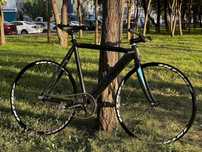Colossi low pro.