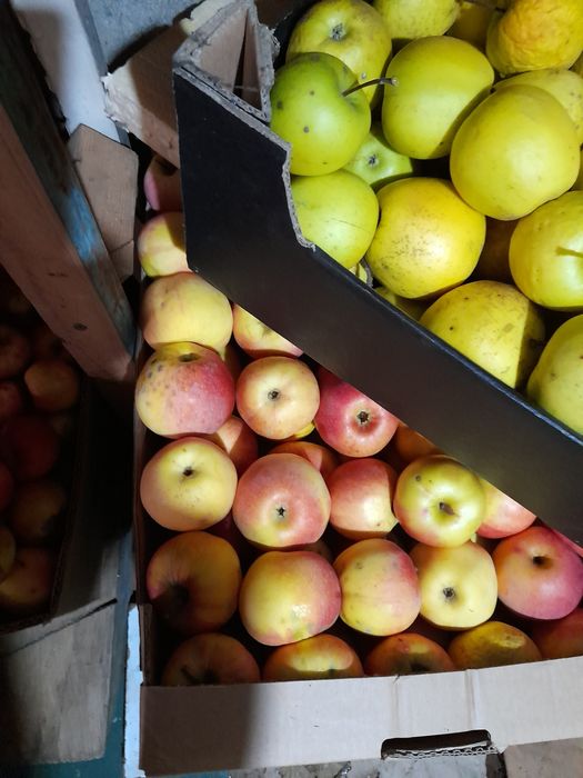 Vănd Mere,calitate bună!!