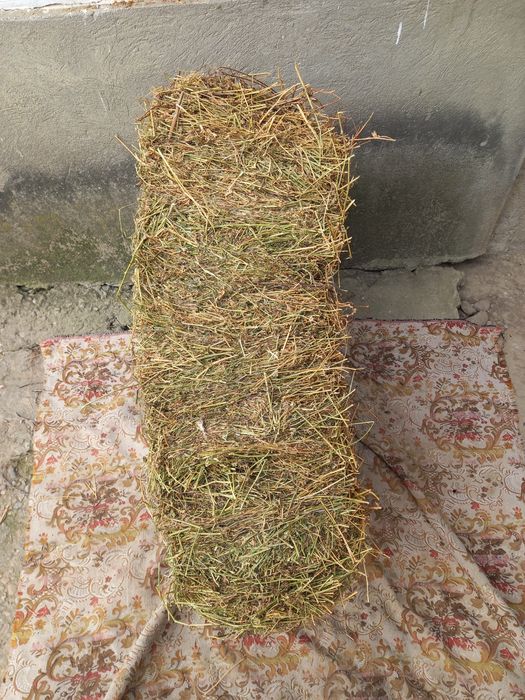 Vând baloti de lucerna