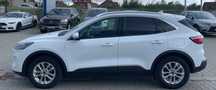 Ford Kuga KUGA 4X4 - FHEV 190 CP