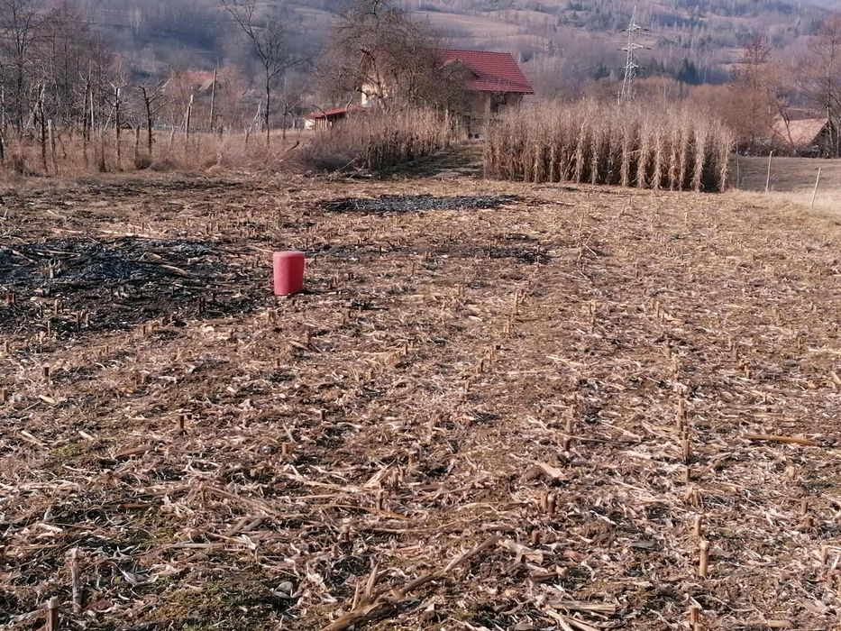 Casa de vanzare si teren 30 arii in Lupsa, jud Alba