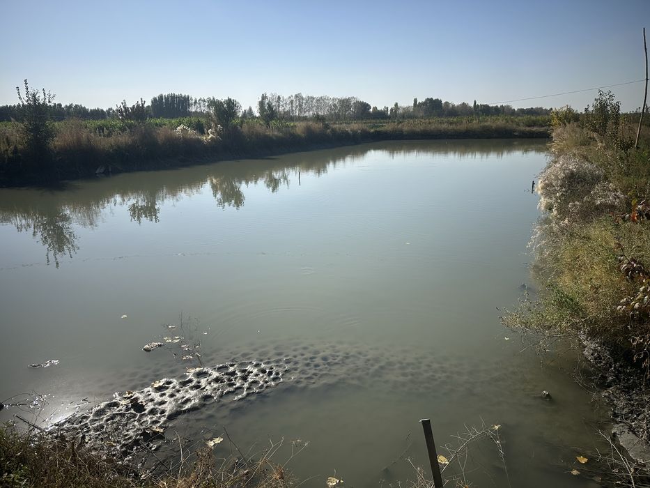 Baliq xona ijaraga beriladi