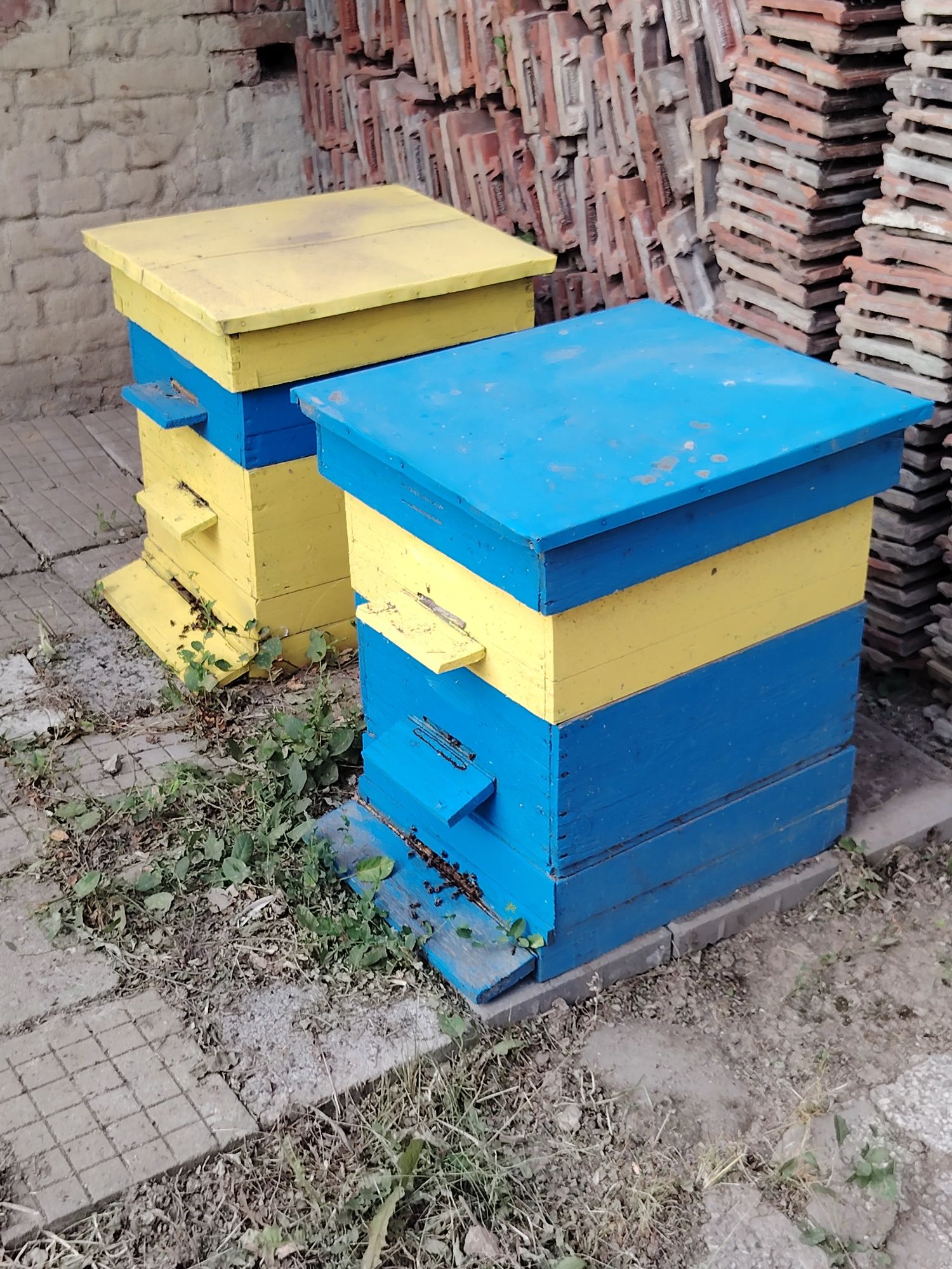 Пчелни кошери оборудвани