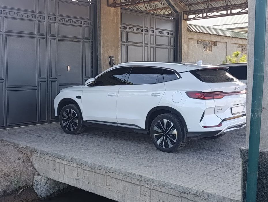 BYD Champion smart drive 2025