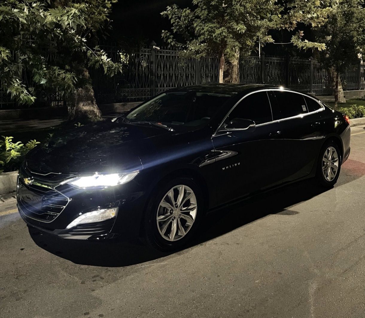 Malibu premier/rent a car /kunlik ijara /прокат автомобилей/ сухой /