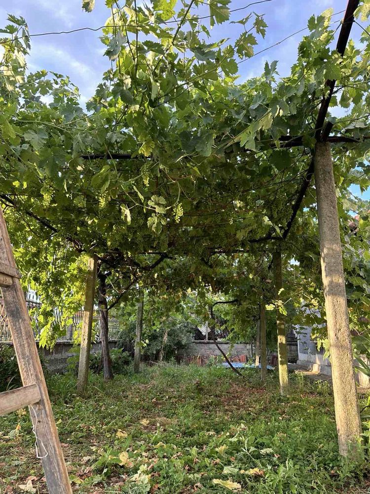 Къща с.Русокастро,2 дек довр+лозя,овошки+кладенец