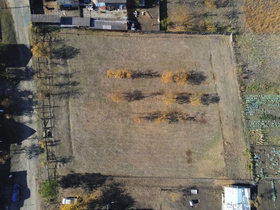 Persoana fizica, vand teren intravilan 3000mp Loc. Sambateni Jud. Arad