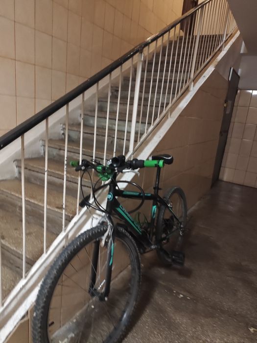 Vand bicicleta Champion