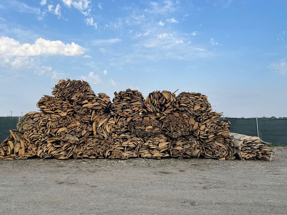 Cherestea LATUROAIE rasinoase