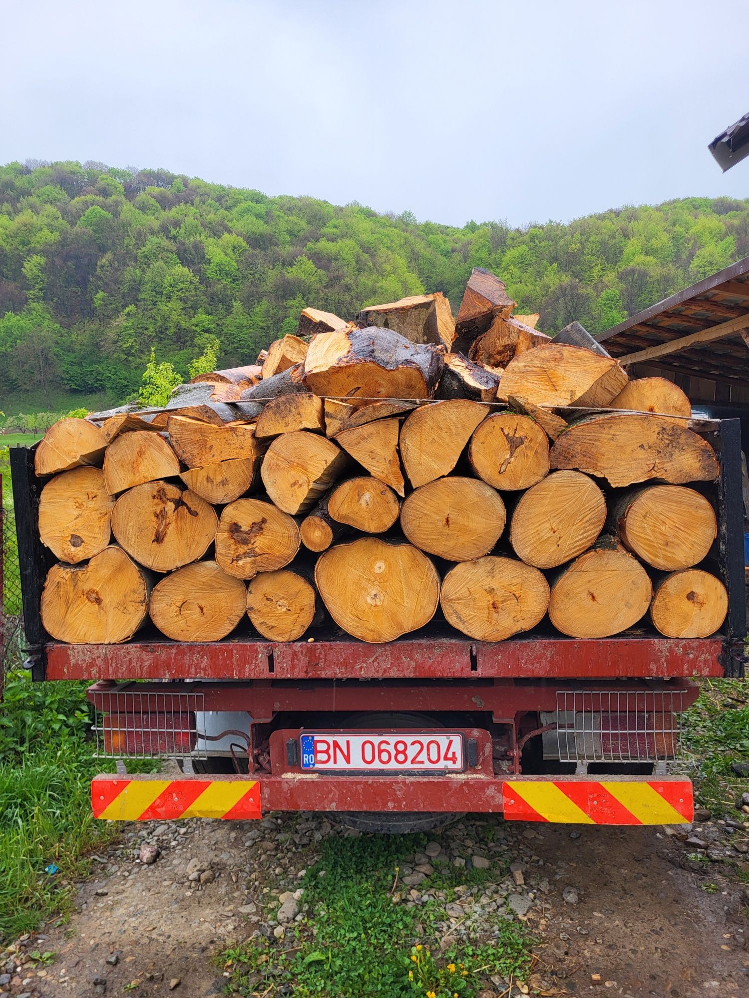 Vând lemne pentru foc  fag și stejar esență tare