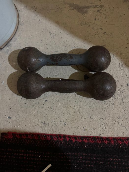 Гантели чугунные литые