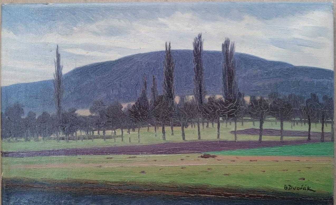 Bohuslav Dvořák, Ulei pe pânză, Semnat, Dimensiuni 24 x 39 cm