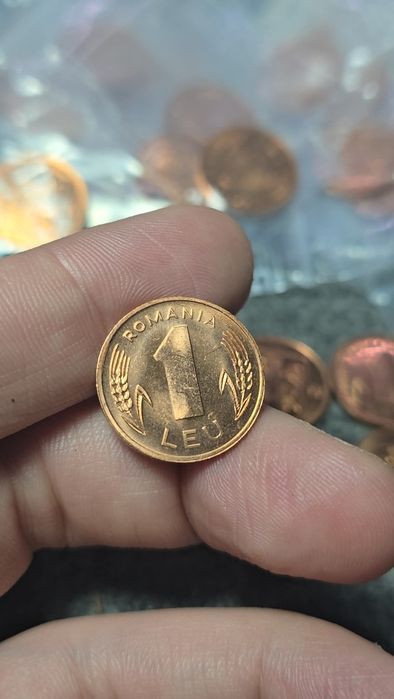 Moneda 1 leu 1996 UNC