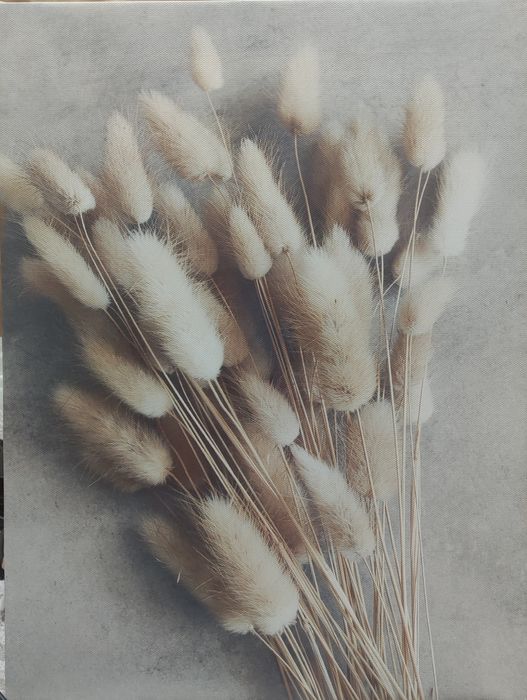 Картина 30 х40 , натуральный холст, подрамник МДФ