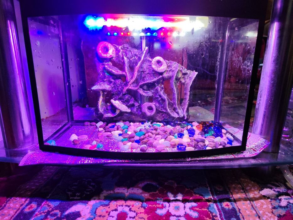 Akvarium sotiladi holati yaxwi . Hamma joyi butun ishlatishga yaroqli