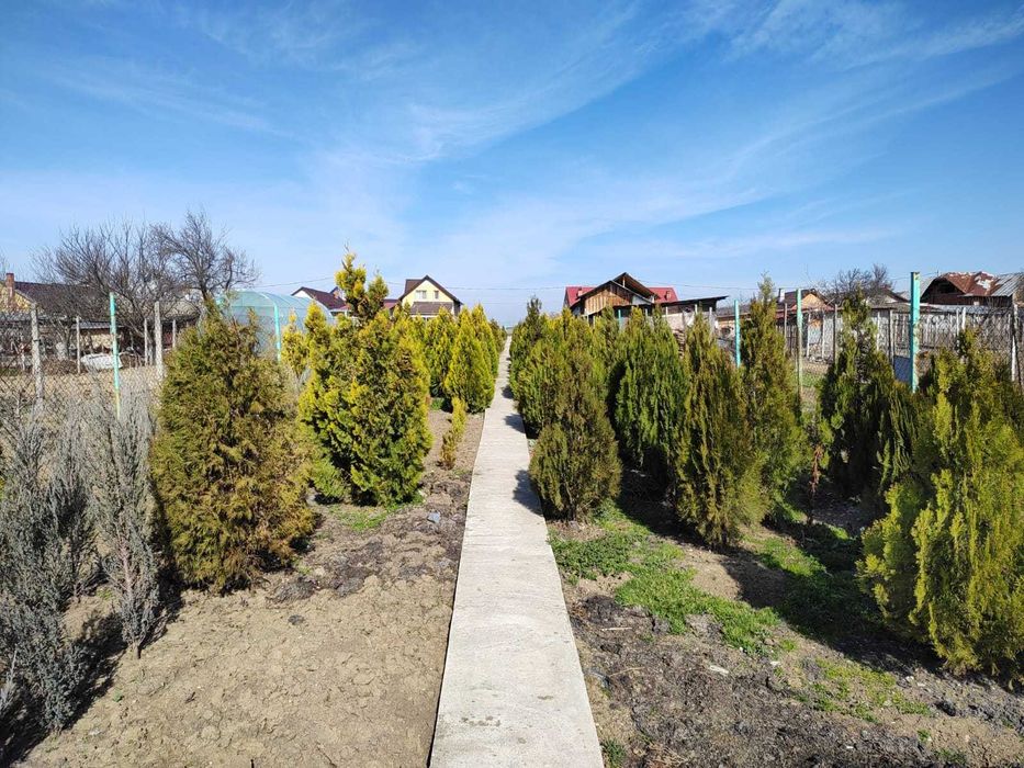 Vand teren in Mirila - 3 km de oras Bals