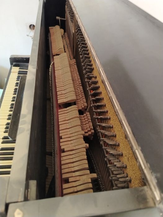 Pianina, Pionino (Belarus)