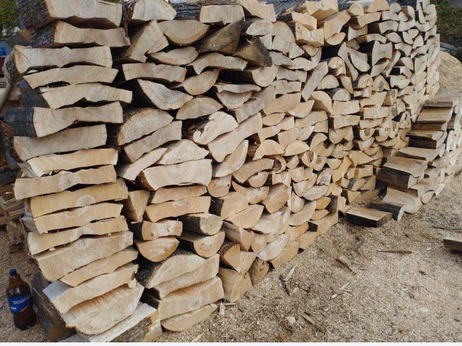 Vând lemne esență fag