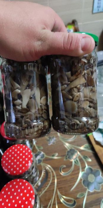 Ghebe la borcan  sterilizate!