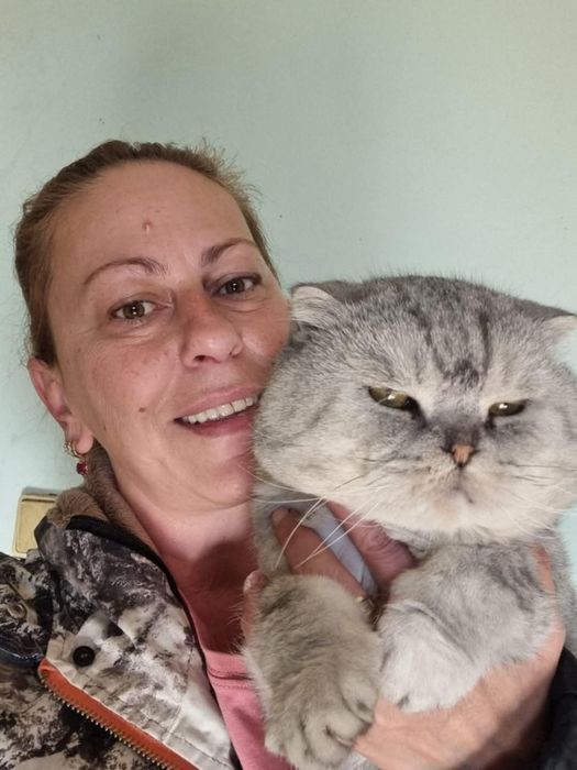 Сребърна чинчила