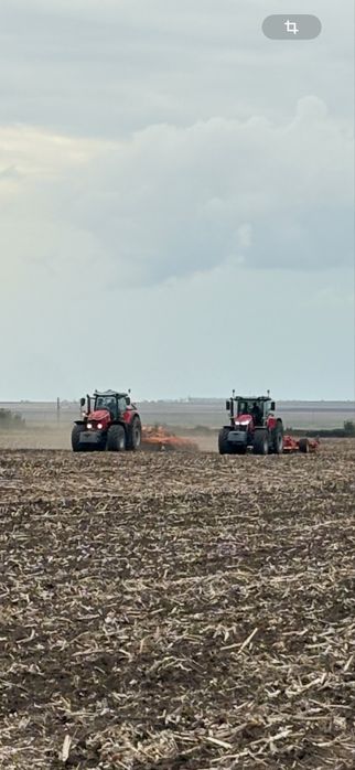 Prestari servicii- semanat