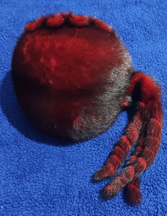 Шапка норковая с брошью